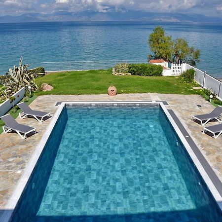 Antorina Beachfront Villas With Private Pools Kamari  Exteriér fotografie